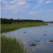 intracoastal waterway oyster beds at Bulls Bay Overlook